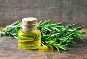 rosemary essential oil